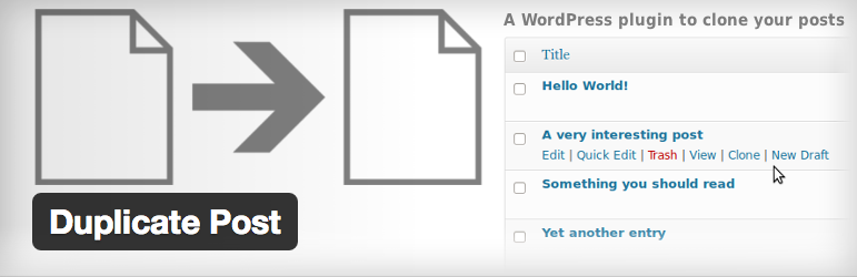 Duplicate Post Plugin