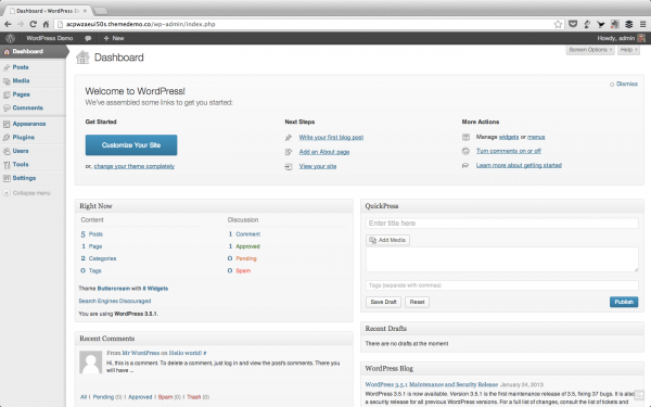 The classic WordPress backend ready for your input.