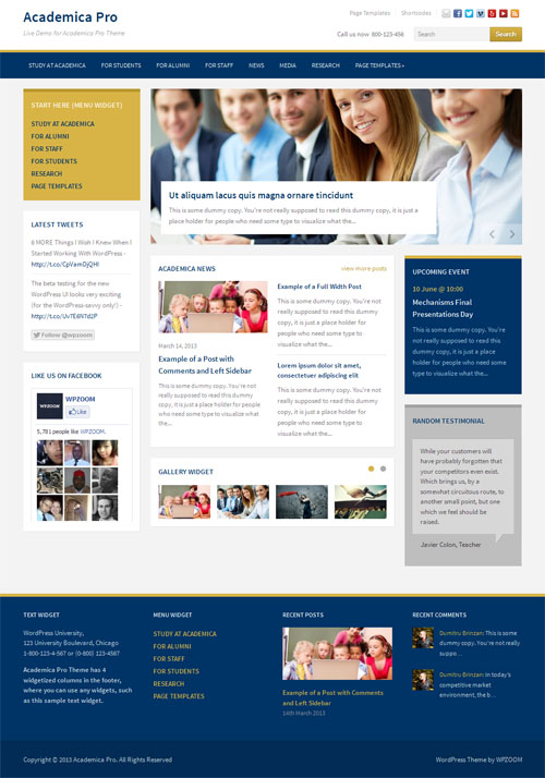 academica pro screenshot education theme