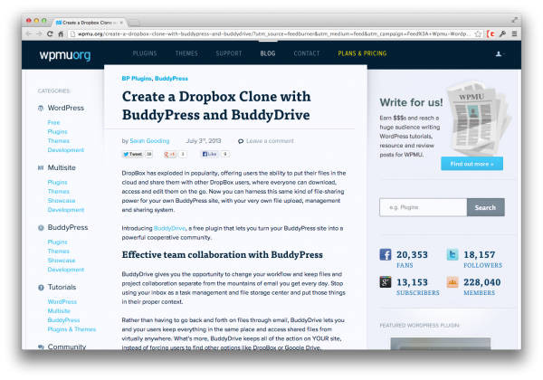 buddydrive