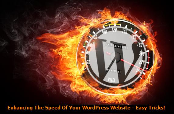 WordPress, WordPress website