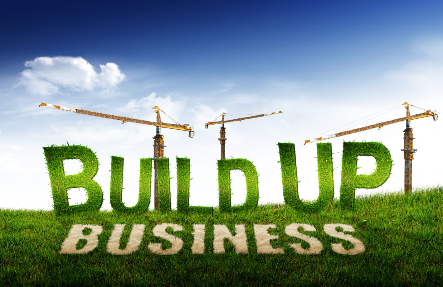 easy-to-start-a-company-hard-to-build-a-business-thetorquemag